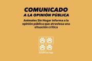 Animales Sin Hogar denuncia cambios en sistema de donaciones por SMS de Antel