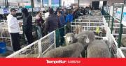 La Expo Rural 2026 comenzó este sábado y convocó a vecinos