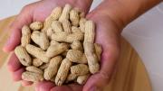 No tires la cáscara de maní porque son un tesoro: para qué sirven y cómo reutilizarlas
