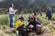 Estudiantes siembran especies nativas en Parque Nacional Cajas para proteger el agua