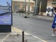 Un motociclista murió degollado por una soga que cruzaba la calle en Quilmes: la habían puesto para cerrar el paso por las murgas