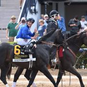 ¡Inmortal! Junior Alvarado y Knightsbridge tritura un récord de 30 años de la leyenda Cigar