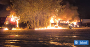 Liberación Nacional Mapuche se adjudica ataque incendiario que destruyó 4 vehículos en Lautaro