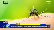 SEDES La Paz reporta 70 casos confirmados de chikungunya