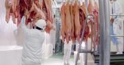 Exportaciones porcinas siguen aumentando mientras se reducen envíos de carne bovina al cierre de febrero