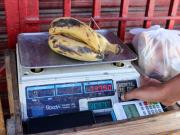 El plátano va en aumento en los comercios de Santa Cruz