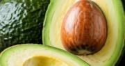 Menos químicos, más ciencia: Buscan extender la vida útil de la palta Hass en Chile