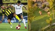El escándalo que envuelve a Cristián Riquelme, futbolista de Colo Colo que apenas cuenta para Fernando Ortiz