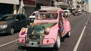Realizó una insólita travesía en un viejo Citroën rosa para poder conocer a Alejandro Sanz