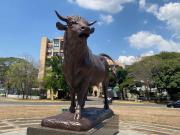 Maracay: 325 años de una fe que florece