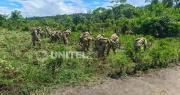 Impulsan el control de plantaciones de coca en el trópico de Cochabamba