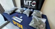 PDI incauta más de 2 kilos de cannabis y ketamina en Coquimbo
