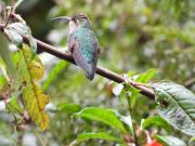 Guardaparques refuerzan control en quebrada ‘Tunguilarca’