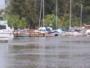 Informe del estado sanitario de las aguas recreativas de Soriano