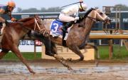 Saudi Crown reaparece con autoridad y domina en Oaklawn Park