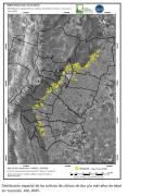 Se busca conocer la superficie destinada al citrus en Tucumán
