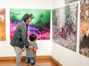 Fotografía Submarina Y Documentales Cautivaron A Más De 6 Mil Personas En “Iquique, Mar De Campeones”