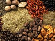 Encontraron vasijas de hace 6000 años y descubren el menú de la prehistoria