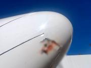 BoA informa que retrasos en vuelos se produjeron por incidentes con aves y mal clima