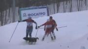 Repentina intrusión de un perro en una carrera de esquí provoca un accidente