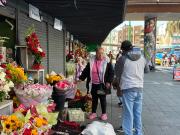 Comercio informal afecta a floristas
