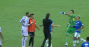 El video de la reacción de Eduardo Domínguez en la batalla campal entre Atlético Mineiro y Cruzeiro