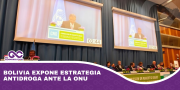 Bolivia expone estrategia antidroga ante la ONU