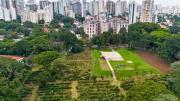 La plantación de café urbana más grande del mundo está en América Latina y recibe nuevos árboles