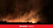 Incendio forestal: más de 200 hectáreas arrasadas