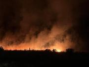 Más de 200 hectáreas quemadas por un incendio forestal en Mar del Plata: denuncian intentos de usurpación de terrenos