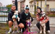 Corrida Dog Lover y servicios veterinarios en la Costanera