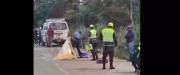 Adulta mayor muere atropellada en ruta a Sella Méndez