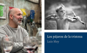 Los pájaros de la tristeza: la novela de Luis Mey que vuelve para recordarnos que la fragilidad también es colectiva