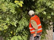 Mejoras en señalización vial en la ciudad