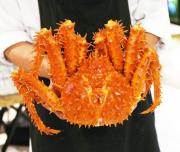 La lista de lujos del Pentágono: US$ 2 millones en cangrejo real de Alaska, un piano y más