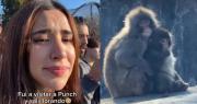 Influencer llega hasta las lágrimas tras ver el inesperado “empujón” que le dieron a Punch