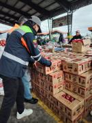 Estandarización mejora calidad en mercado