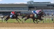 Igniter vs. Easy Decision: El duelo estelar del Jimmy Winkfield Stakes en Aqueduct