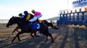 ¡No hay caballos! Hipódromo cancela jornada del viernes por falta de inscritos