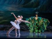 El Ballet del Colón comenzó su temporada con El lago de los cisnes: un clásico que siempre tiene algo nuevo para revelarnos