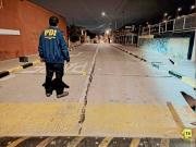 La notable reducción de muertos en ilícitos respecto del año pasado