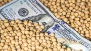 La soja sube por la crisis en Medio Oriente y podría sumar miles de millones de dólares a la economía argentina