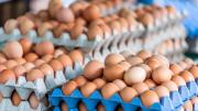 Colombia alcanza consumo récord de huevo: ya se comen 366 unidades por persona al año, según Fenavi