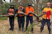 Rescate de anaconda en Barinas movilizó a Protección Civil