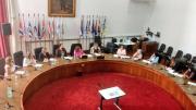 Comisiones de Género y Personas Mayores sesionaron en Montevideo