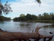 Informe sanitario de las aguas recreativas de Soriano