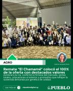 Remate El Chamamé colocó 100% de oferta
