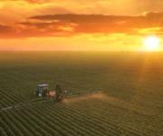 Paraguay atrae cerca de US$1.000 millones en nuevos desembolsos internacionales