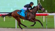 ¡De punta a punta! Twirling Queen detiene el reloj en Gulfstream Park y domina el Captiva Island Stakes