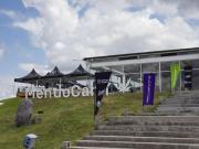 Mendoza mira al cannabis como nueva industria: del tabú al potencial productivo